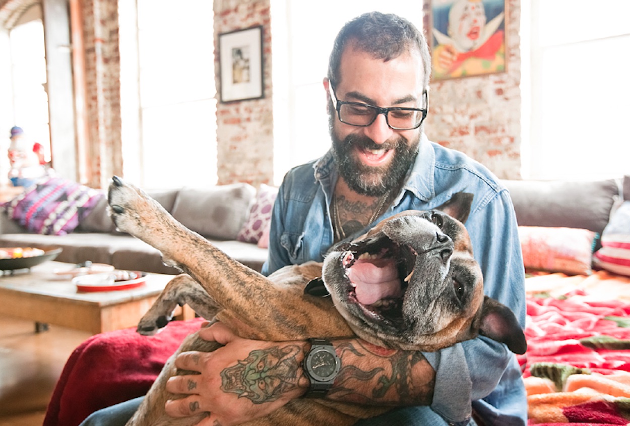 Foto pit bull