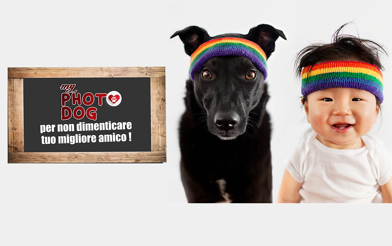 BOOK FOTO CANI