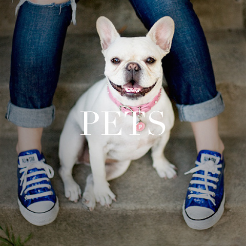 PETS PHOTO